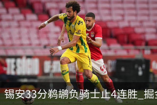 锡安33分鹈鹕负骑士止4连胜 掘金送热火4连败