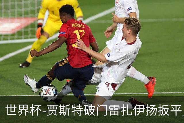 世界杯-贾斯特破门雷扎伊扬扳平 半场伊朗1-1新西兰
