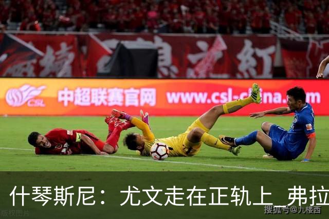 什琴斯尼：尤文走在正轨上 弗拉霍维奇非常出色